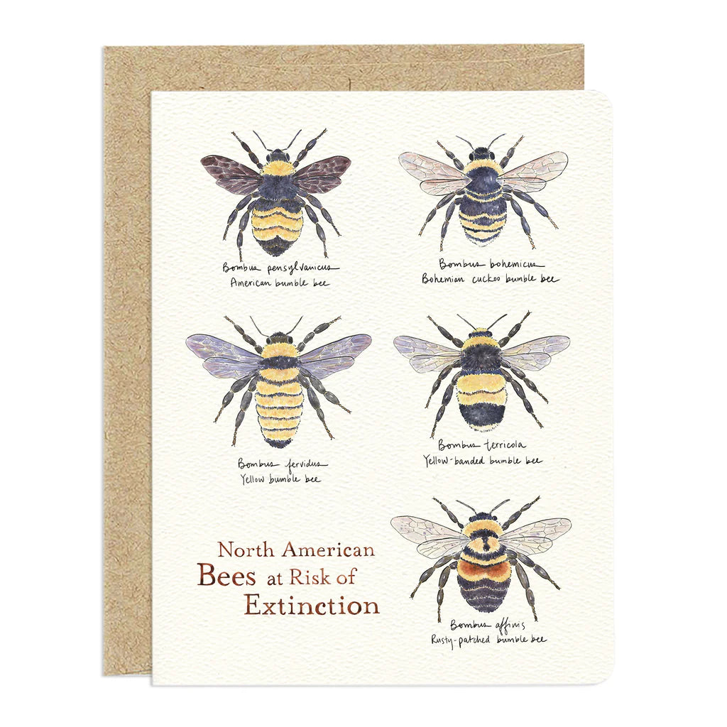 The image is a greeting card featuring a collection of watercolor illustrations of North American bees. 

The main content of the card are six distinct bee illustrations are arranged in a two-column, three-row grid.

The bottom-left section of the third row is occupied by the title text "North American Bees at Risk of Extinction".