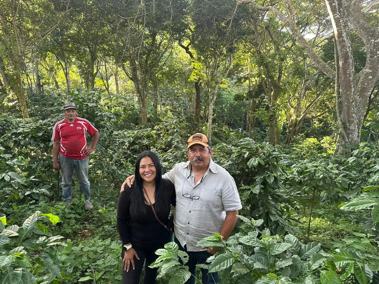 The Farmer Norman Canales and two people standing among coffee plants in a lush green forest