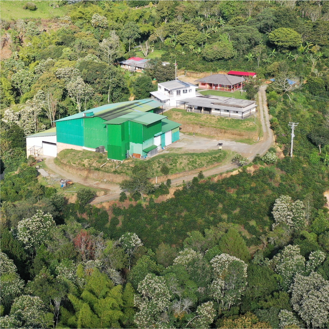 aerial view of El Paraiso farm